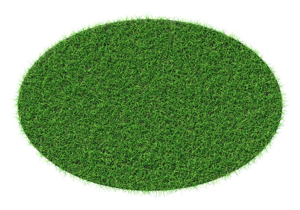 草的外形——孤立的设计元素图片下载