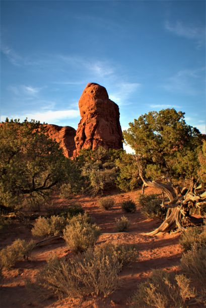 阳光下犹他州沙漠岩石的垂直照片图片下载
