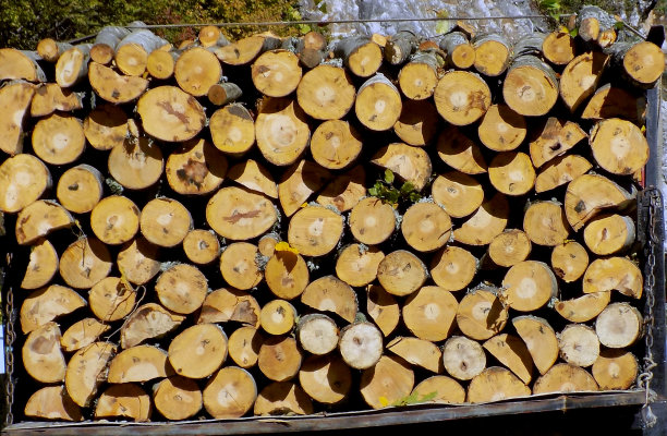 卡车，木头，柴火，图片下载