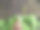 一只小蜗牛在树叶上行走的特写镜头图片下载