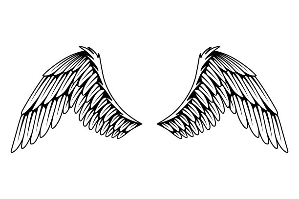 复古纹章翅膀素描。单色风格化的鸟翅膀。手绘轮廓贴纸翼在开放的位置。色彩风格的设计元素图片下载