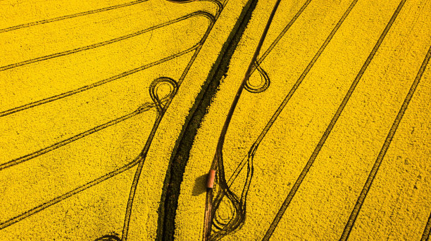 黄色场地的空中顶部照片，上面有线条图片下载