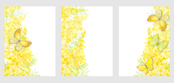 预先制作的设计与水彩含羞草花，蝴蝶和地方的文字。布局装饰贺卡或邀请设计背景，墙纸设计。春天主题的三个不同版本。图片下载