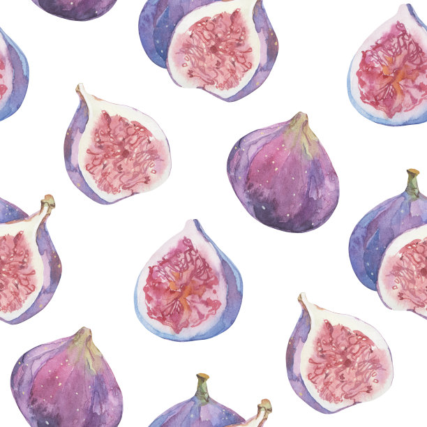 无缝水彩图案与无花果在一个白色的背景。完美的设计模板，墙纸，包装，织物和纺织品。图片下载