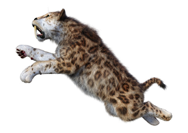 白面剑齿虎3D渲染图片下载