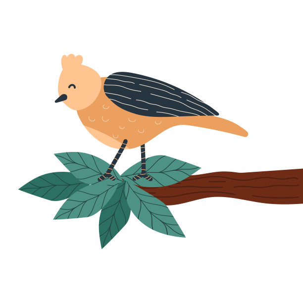 树枝上的鸟图片下载