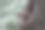 美丽的东方灰松鼠照片图片下载