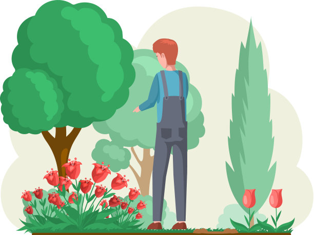 小伙子在后院种花，在美丽的花坛上种花。有机园艺插图图片下载