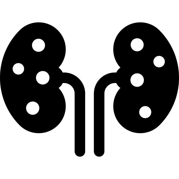 肾脏医疗保健医疗，矢量图形插图图标。图片下载