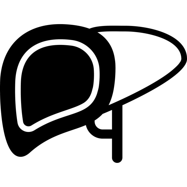 肝脏保健医疗，矢量图形插图图标。图片下载