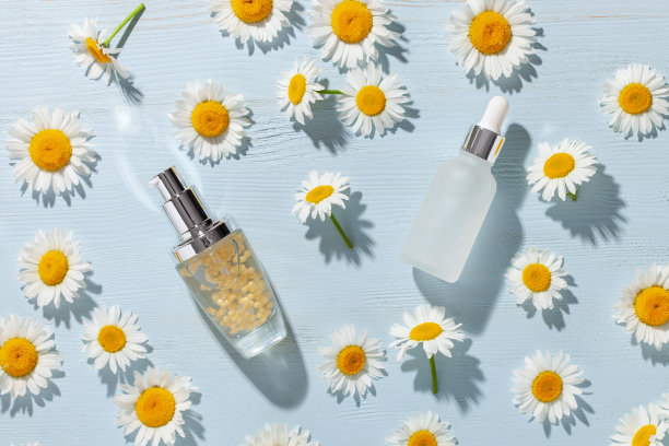 蓝色背景上的洋甘菊花。天然美容水疗概念。副本的空间。俯视图图片下载