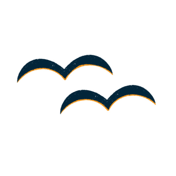 海鸥，海鸟，手绘插图图片下载