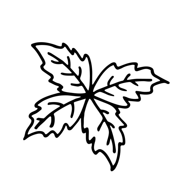 薄荷或薄荷的涂鸦图片下载