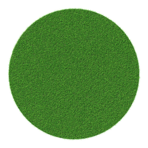 草的外形——孤立的设计元素图片下载