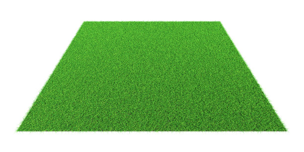 草的外形——孤立的设计元素图片下载