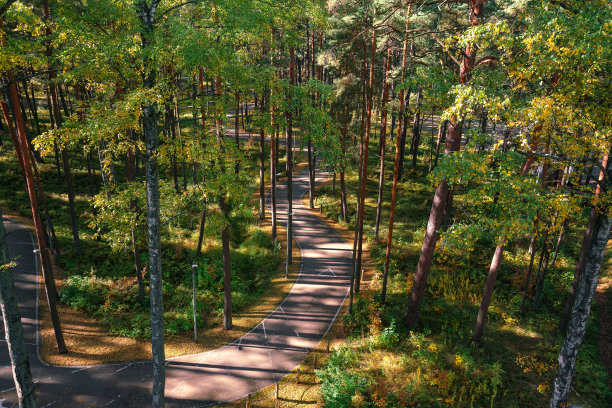 从无人机拍摄的城市公园的俯视航拍照片图片下载