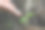 科技环境，手握可再生资源技术植树减少污染ESG图标概念手握环境、社会和可持续的企业治理。图片下载