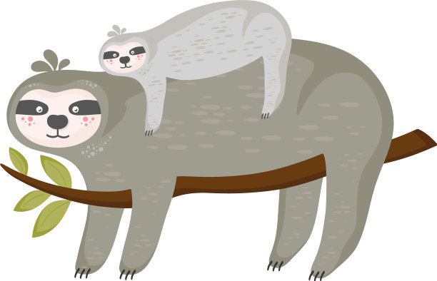 树枝上的树懒图片下载