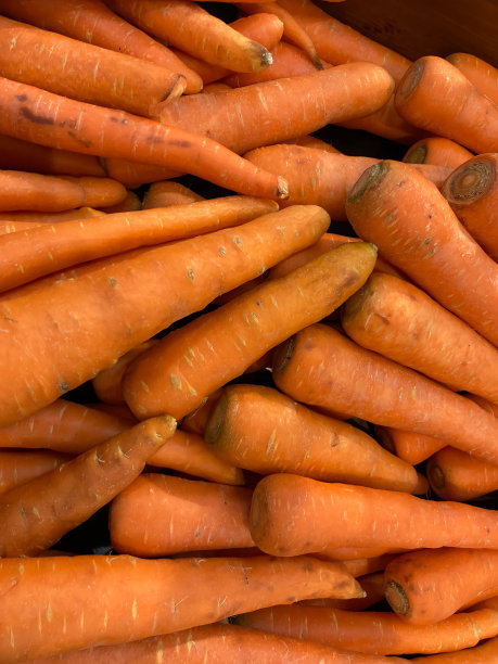 胡萝卜图片下载