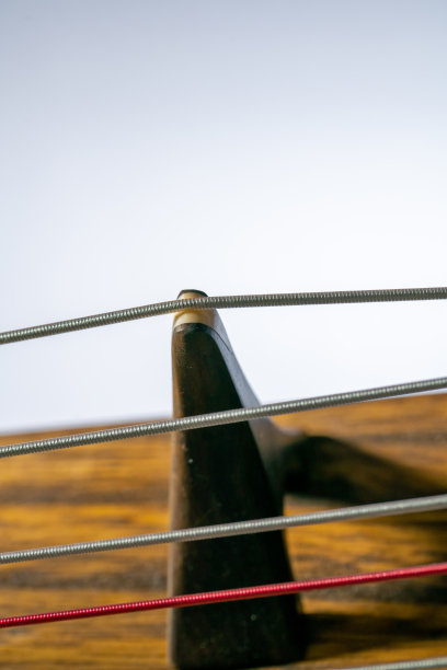 古筝的地方细节图片下载