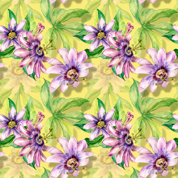 西番莲植物水彩画无缝图案孤立在黄色上。图片下载