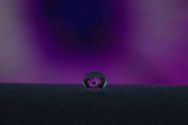 一颗水滴反射紫色花朵的浅聚焦镜头图片下载