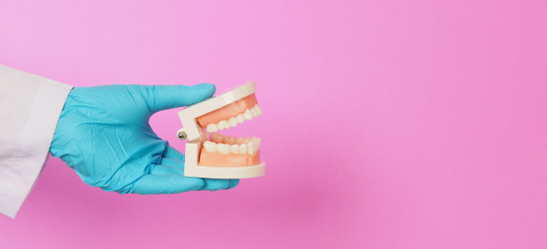 牙医正拿着粉红色背景的牙齿正畸模型。手戴蓝色乳胶手套。图片下载
