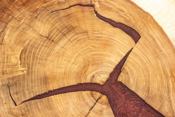 咖啡桌，客厅桌。树脂手工木桌。白色背景。图片下载