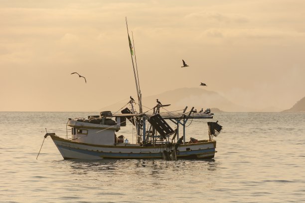 虾钓鱼。渔船。鸟儿在日落时从船上飞过。图片下载