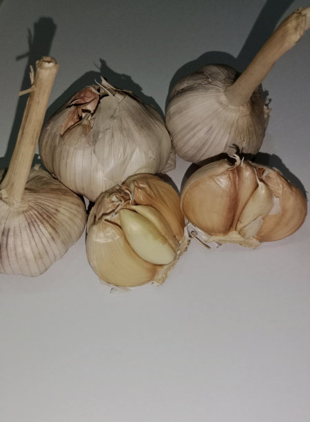 大蒜图片下载