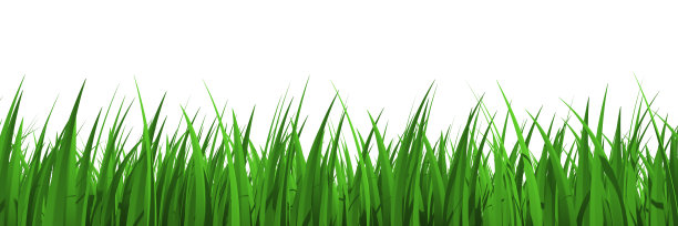 草地剖面图视图隔离图片下载