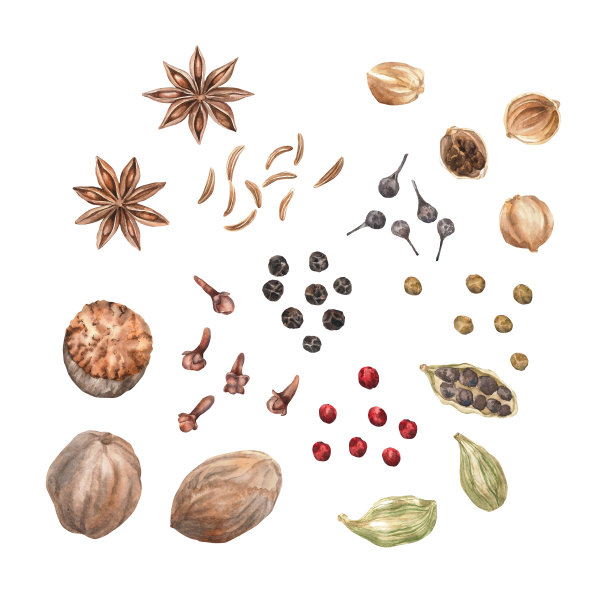 香料水彩。集。剪贴画插图。设计的菜单，烹饪博客，包装，纺织品，网页设计，网站，贴纸，邀请，图案，标志。手工绘制。图片下载