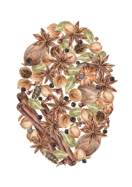 香料水彩。集。剪贴画插图。设计的菜单，烹饪博客，包装，纺织品，网页设计，网站，贴纸，邀请，图案，标志。手工绘制。图片下载