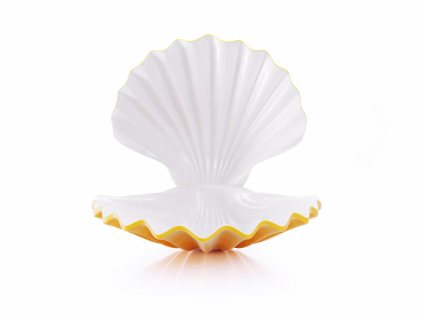 在白色背景上打开黄色海贝壳图片下载
