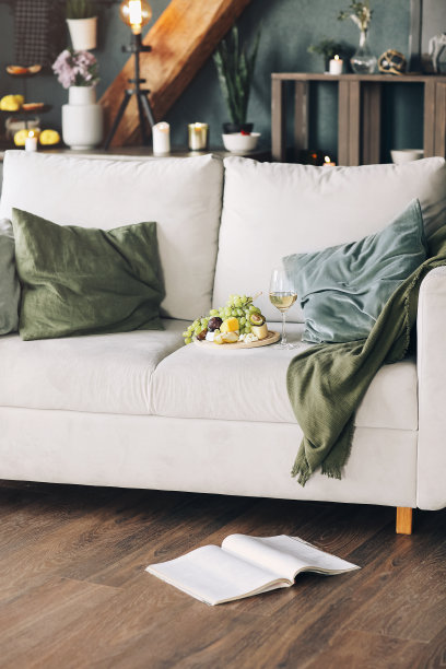 家里的沙发上放着水果和酒图片下载