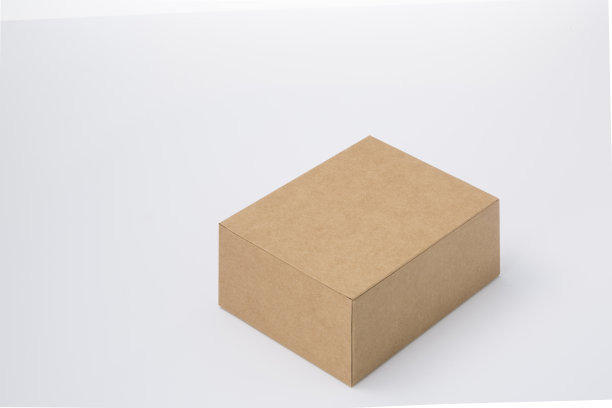 白色背景的纸板箱照片模型。图片下载