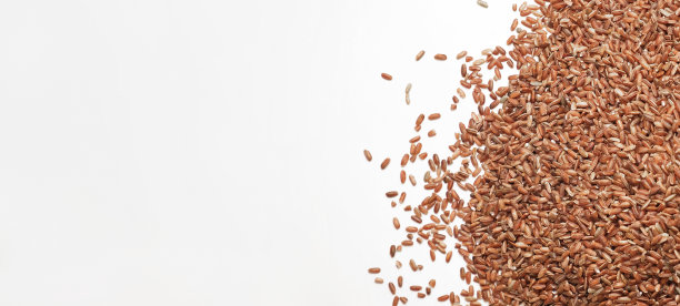 生的红米墙纸。长糙米旋转。关闭了。谷物倒了一堆。世界危机，出口，进口。收获问题，制裁。价格上涨和食品供应短缺图片下载