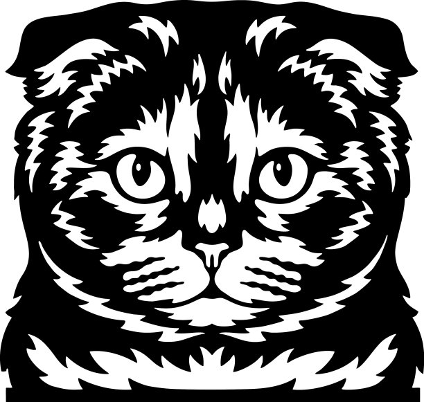 苏格兰折猫偷看猫猫繁殖图片下载