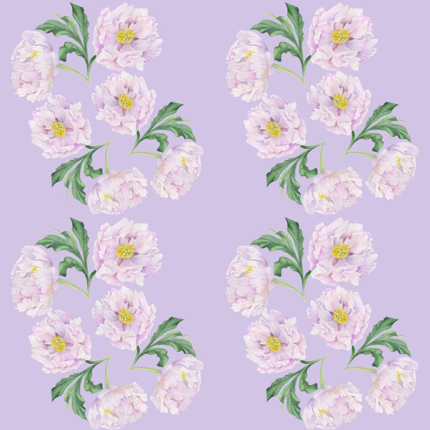 水彩画无缝图案，手绘牡丹花，花蕾，花瓣，花瓣。隔离在彩色背景上。用于请柬，婚礼，爱情或贺卡，纸张，印刷，纺织图片下载