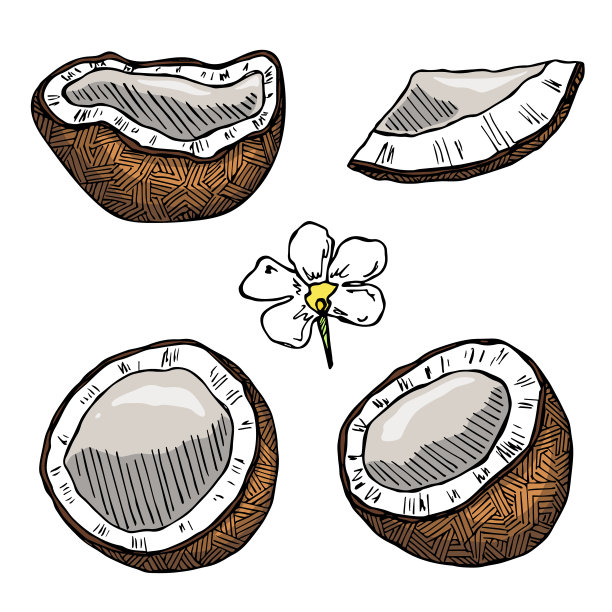 手绘一套椰子剪纸图片下载