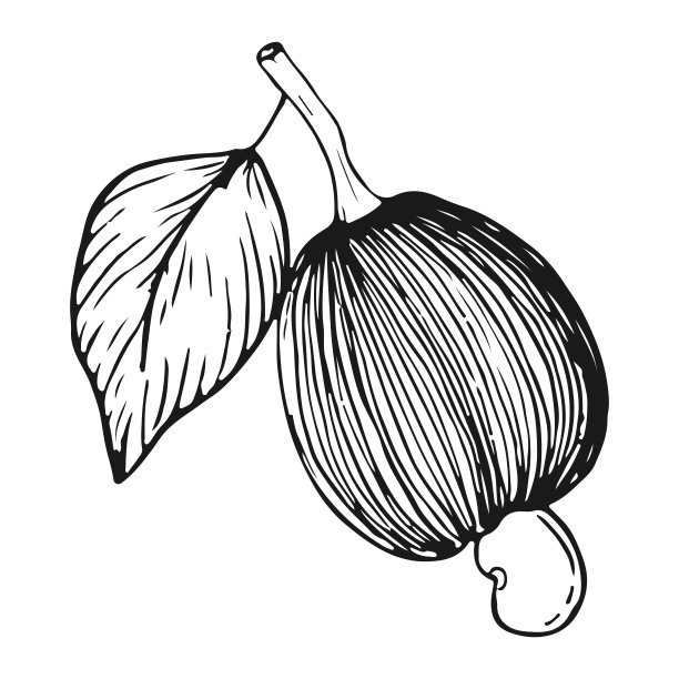 腰果漫画涂色书图片下载