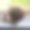 蹒跚学步的婴儿正站在窗边的窗台上。窗户边的孩子双手扶着玻璃。一岁儿童图片下载