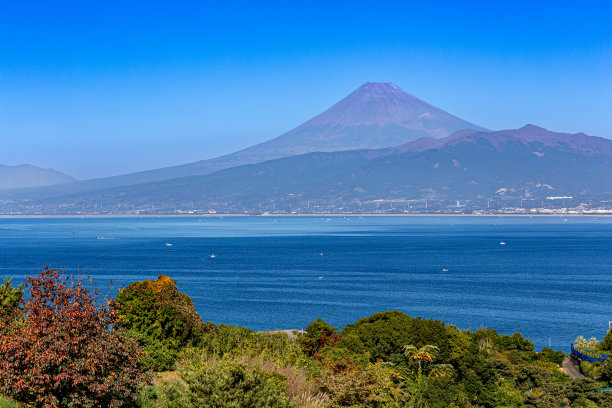 从伊豆橘子园看富士山的秋天。图片下载