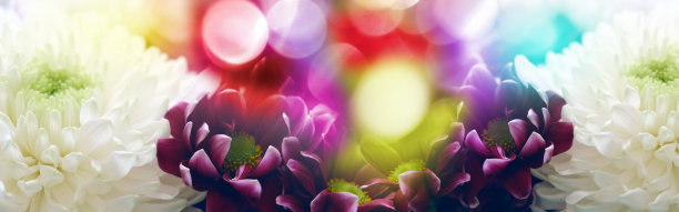梦幻的散景和闪光背景与彩色花朵融合在一个明亮的彩色花朵组成。和平或宁静的背景。模板旗帜。婚礼，生日，情人节图片下载