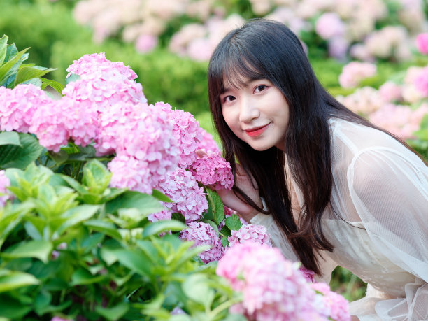 美丽的白衣女子坐在五颜六色的绣球花田里，迷人的中国女孩留着黑色的长发在户外享受着她的闲暇时光。图片下载