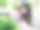 美丽的白衣女子坐在五颜六色的绣球花田里，迷人的中国女孩留着黑色的长发在户外享受着她的闲暇时光。图片下载