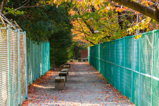 秋天的场景图片下载