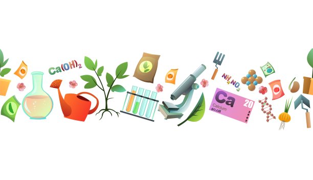 化学与天然肥料无缝水平。采用矿物和有机追肥，提高蔬菜和果树产量。孤立的白色背景。向量。图片下载