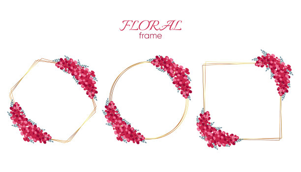 金色框架和红花图片下载