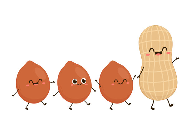 花生卡通向量。白底花生。图片下载